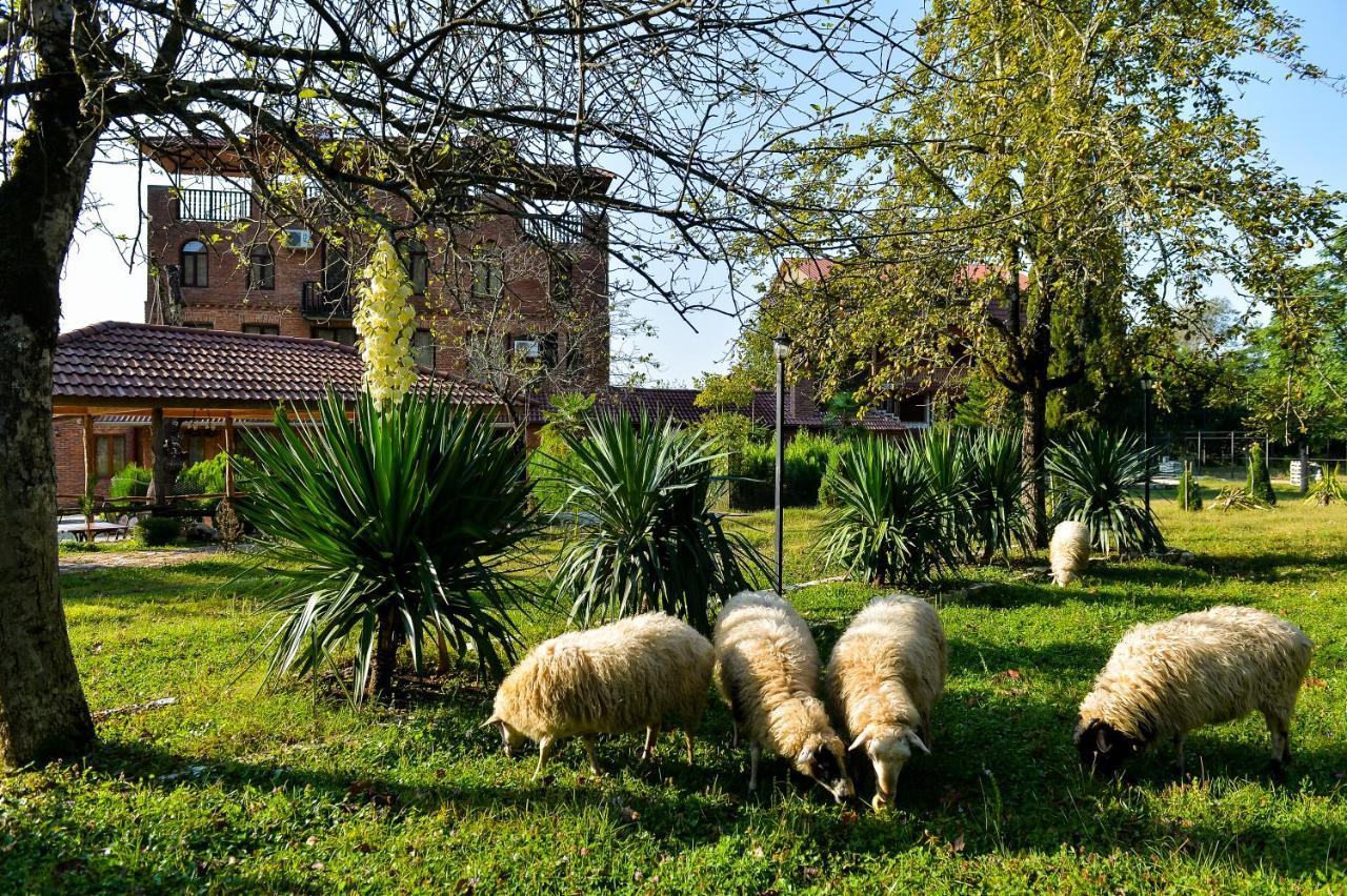 Chateau Chikovani Otel Gordi Dış mekan fotoğraf