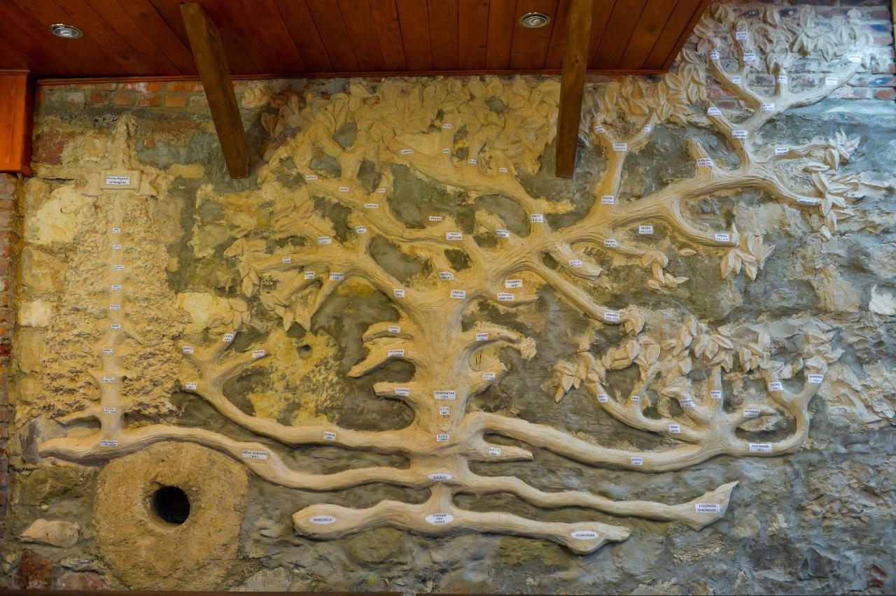 Chateau Chikovani Otel Gordi Dış mekan fotoğraf