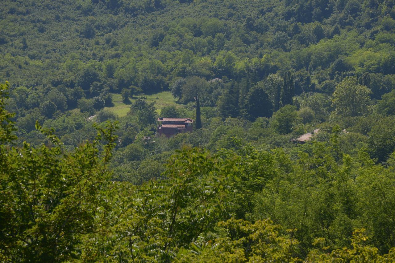 Chateau Chikovani Otel Gordi Dış mekan fotoğraf