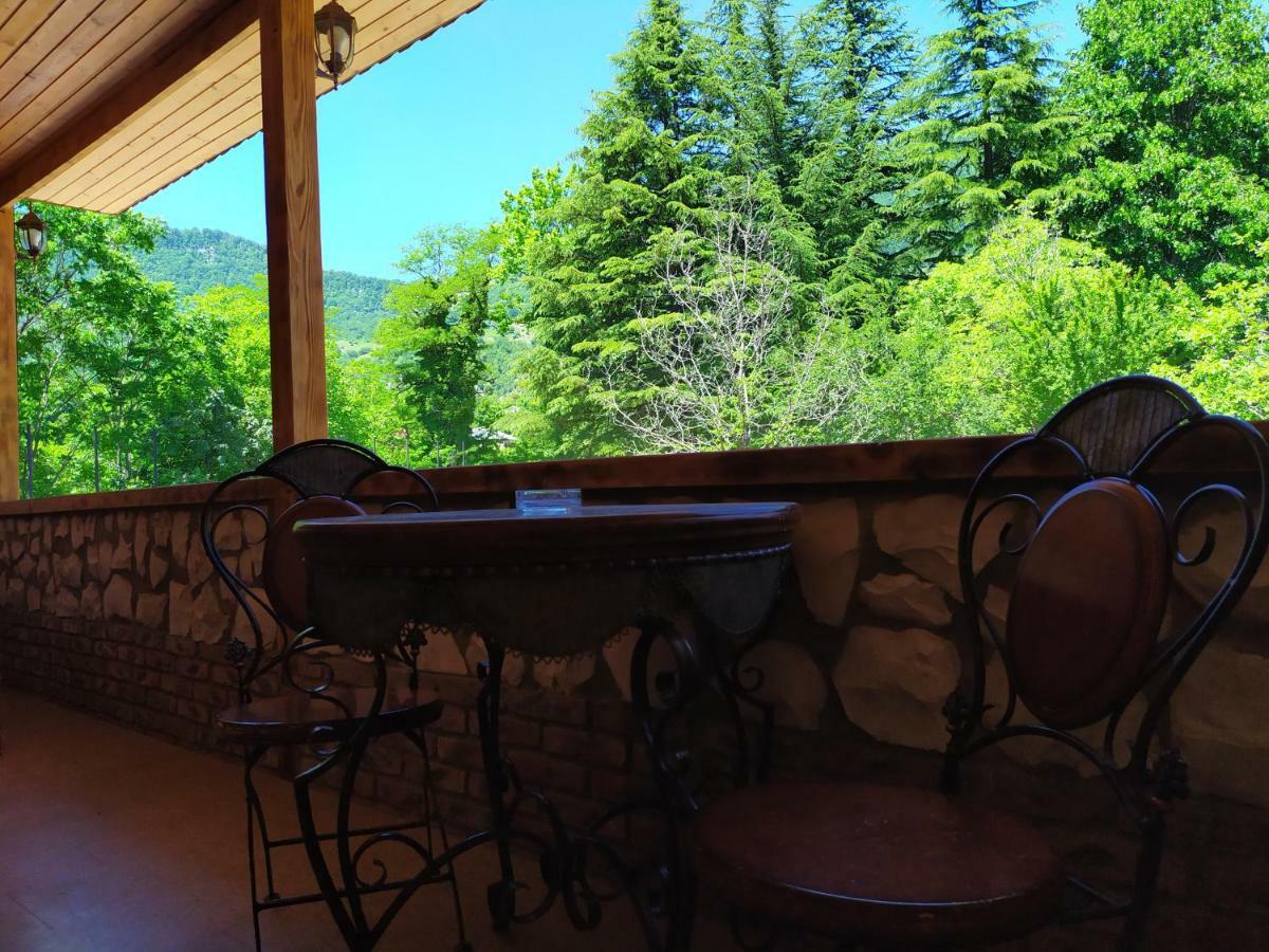 Chateau Chikovani Otel Gordi Dış mekan fotoğraf